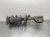 Amortiguador delantero con muelle espiral