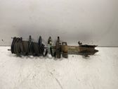 Front shock absorber with coil spring