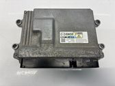 Engine control unit/module ECU