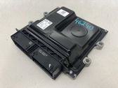 Engine control unit/module ECU
