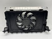 Electric radiator cooling fan