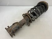 Front shock absorber with coil spring