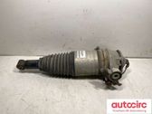 Rear air suspension bag/shock absorber