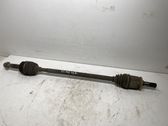 Rear driveshaft