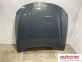 Engine bonnet/hood