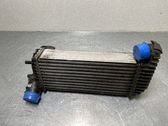Radiador intercooler