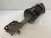 Front shock absorber with coil spring