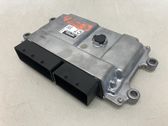 Engine control unit/module ECU