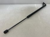 Tailgate/trunk strut/damper