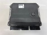 Motorsteuergerät ECU