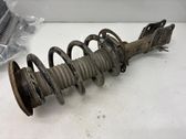 Front shock absorber with coil spring