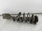 Front shock absorber with coil spring