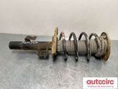 Front shock absorber with coil spring