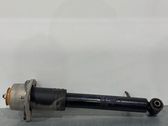 Rear shock absorber/damper