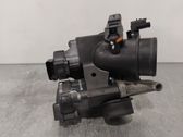Throttle body valve