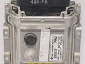 Engine control unit/module ECU