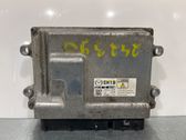 Engine control unit/module ECU