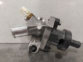 AGR Thermostat