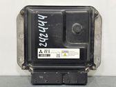 Engine control unit/module ECU