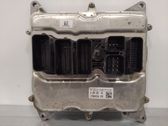 Engine control unit/module ECU