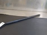 Tailgate/trunk strut/damper