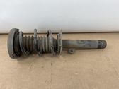 Front shock absorber with coil spring