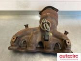 Filtro de partículas del catalizador/FAP/DPF
