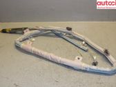 Roof airbag