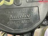 Cinturón trasero