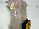 Fuel expansion tank