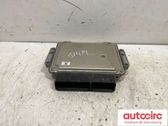 Engine control unit/module ECU