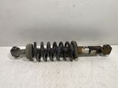 Rear shock absorber with coil spring