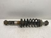 Rear shock absorber with coil spring