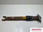 Rear shock absorber/damper