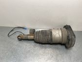 Amortisseur, ressort pneumatique suspension arrière