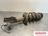 Front shock absorber with coil spring