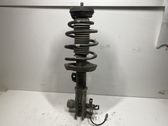 Front shock absorber with coil spring