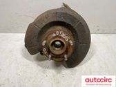 Rear wheel hub spindle/knuckle