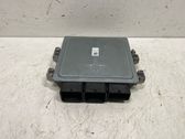 Engine control unit/module ECU