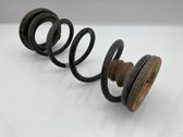 Rear coil spring rubber mount
