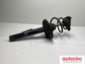 Amortiguador delantero con muelle espiral