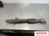 Rear shock absorber/damper