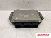 Engine control unit/module ECU
