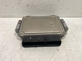 Engine control unit/module ECU