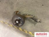 Querlenker hinten
