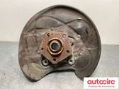 Rear wheel hub spindle/knuckle