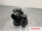 Throttle body valve