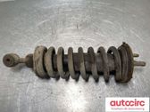 Front shock absorber with coil spring