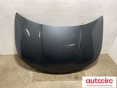 Engine bonnet/hood