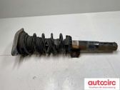 Front shock absorber with coil spring